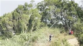 練飛「中繼站」，佈網攔截賽鴿，苗栗後龍警埋伏，逮捕擄鴿集團(圖／翻攝畫面)