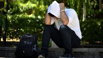 龍年運勢／生肖狗快安太歲！小心血光之災