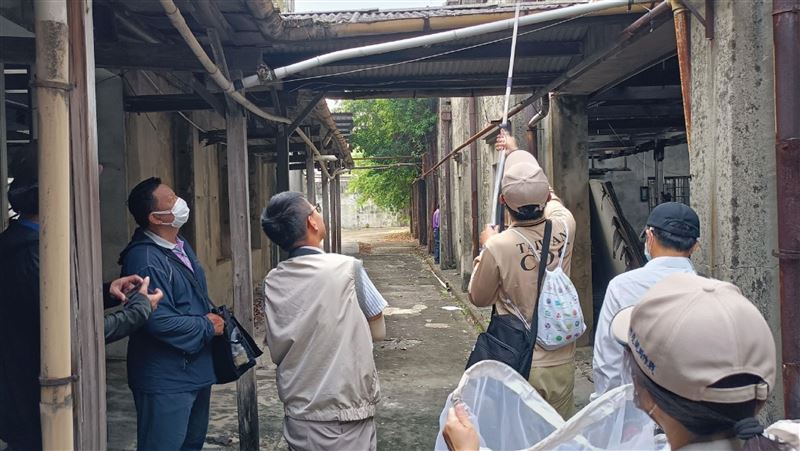 台南登革熱疫情連4降！羅一鈞北返時間曝