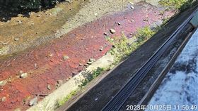 新北,三峽溪,環保局,紅色顏料,萬聖節,