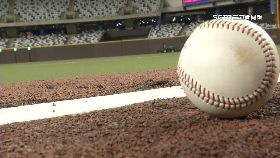 (推)市長大巨蛋1824i18081