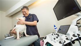毛孩離世　名獸醫師起乩發現飼主想輕生　獸醫師王聲文專訪（圖／鏡週刊）