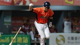 ▲陳鏞基以超過40歲的年紀，成為獅隊在季後挑戰賽最年長出賽的選手。（圖／統一獅球團提供）