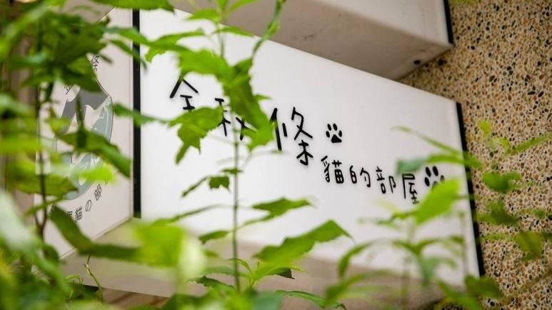 不怕被救援費壓垮！她：社會需要一些呆人