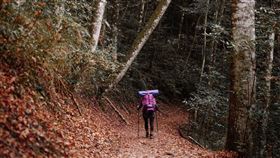 ▲新竹霞喀羅古道打卡亮點 – 霞喀羅古道楓紅。（圖／kejunyan1121 , Instagram）