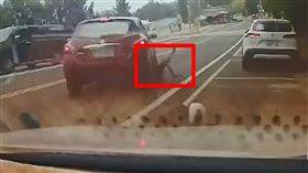 南投,天空步道,迴轉,雙黃線,輾過,汽車,機車