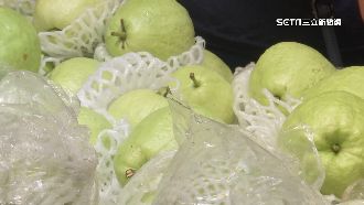 獨／6支電眼緊盯嘸效！客買芭樂再摸走1顆
