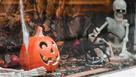 萬聖節,骷髏 (圖／Unsplash)
