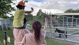 台南,頑皮世界,台北國際旅展,門票