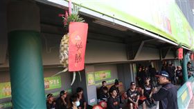 ▲獅隊掛上熟悉的旺來。（圖／統一獅球團提供）