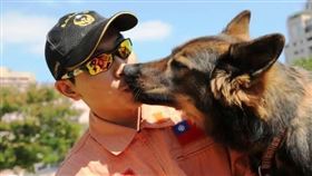 北市榮譽搜救犬Pasha病逝　灑葬儀式送別（圖／翻攝自台北市搜救隊臉書）