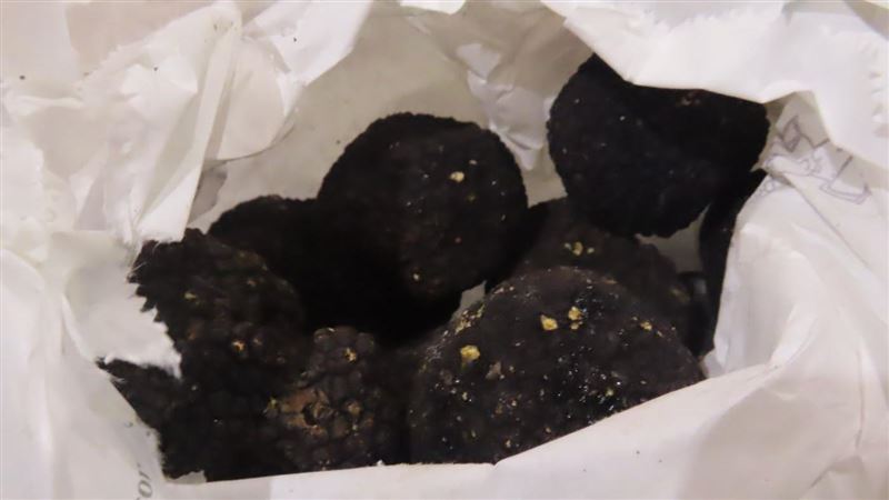 義大利松露　9度被抓重金屬「鎘」超標