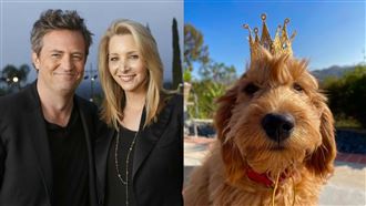 《六人行》錢德驟逝留愛犬　菲比出手認養