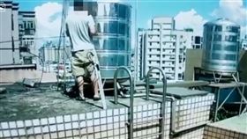 新北市,老鼠藥,水塔,