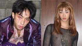 小哈利（圖／翻攝小哈利IG）