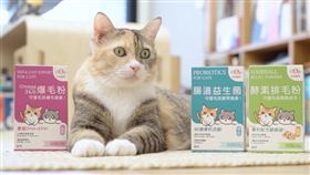 寵物保健品市場崛起　宏瑋寵物替毛孩健康把關（業配勿用）