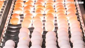 再進口雞蛋! 陳吉仲:4.5月各進3千萬顆