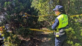 新北市，新店，犬隻，分屍