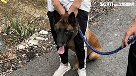 南投埔里狼犬咬傷人。（圖／民眾提供）