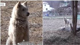 浪浪監視一家人