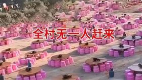 最尷尬婚禮　設宴100桌「全村沒人到場 」（圖／翻攝自網易新聞）