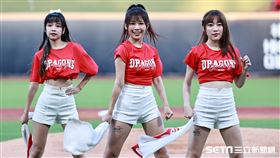 ▲台灣大賽首戰，味全龍啦啦隊小龍女賽前演出。（圖／記者劉彥池攝影）