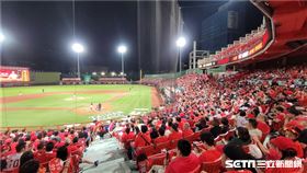 ▲台灣大賽G1味全龍面對樂天桃猿，天母球場10000人滿場。（圖／記者劉彥池攝影）