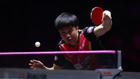 ▲林昀儒（右）擊敗世界第2中國名將王楚欽。（圖／翻攝自WTT微博）