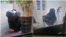 打給媽媽淚喊「想回家」！女大生隔天成冰冷遺體　父母崩潰揪疑點（圖／翻攝自極目新聞）