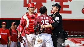 ▲台灣大賽第2戰，樂天桃猿代跑林子偉在本壘遭到觸殺出局，兩隊球員板凳清空。（圖／記者劉彥池攝影）