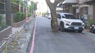 高雄最貴路霸　芒果樹卡路中徵收價1.48億