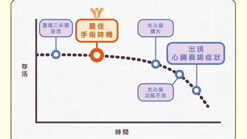 治二尖瓣逆流! 長庚新微創免開胸