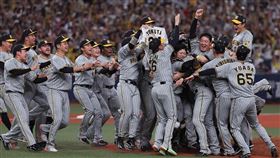阪神虎睽違38年奪得「日本一」。（圖／翻攝自阪神虎 推特）
