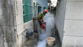 高雄本土登革熱(高雄市政府提供)