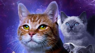 《驚奇隊長2》揭秘喵星人　呆頭鵝衝太空