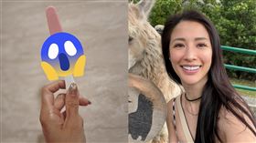 李蒨蓉。（圖／翻攝自李蒨蓉臉書）