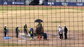 Chad Olsen,MLB,場務專家,新竹棒球場,高虹安（圖／市議員張祖琰提供）