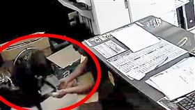 影印店,柴犬,拉扯,暴力