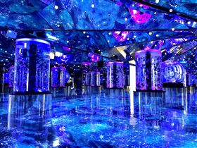 海雪繫情 ∙ 螢光燦爛　冬の水族館戀愛物語（業配勿用）