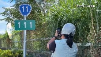 雙11來臨！台11線111公里路標成打卡景點