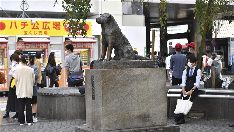 忠犬八公百年冥誕　忠誠堅貞至今人氣高