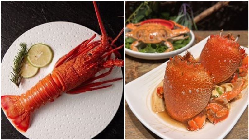 11月優惠倒數！夏慕尼「龍蝦免費吃」