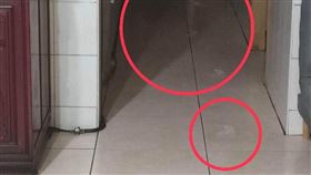 舅舅往生現靈異！頭七灑痱子粉現鬼腳印（圖／翻攝畫面）