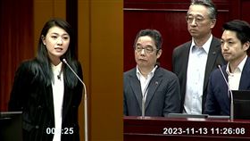 顏若芳質詢。（圖／顏若芳議員辦公室提供）