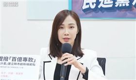 楊寶楨。（圖／民眾黨立院黨團提供）