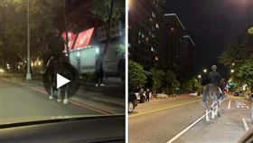新北,三峽,北大特區,騎馬,開罰,馬路,