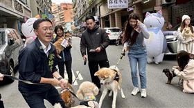 愛護流浪動物！李坤城承諾：若當選立委優先修改動保法