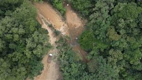 綠世界,山林,生態,種菜（圖／民眾提供）