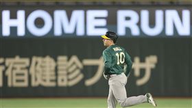 ▲澳洲隊捕手霍爾（Alex Hall）炸裂文東珠。（資料圖／美聯社／達志影像）