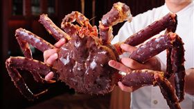 「潮品集‧潮坊」特選鄂霍次克海域的巨無霸活蟹入料，要讓食客們體驗帝王般的頂級味蕾享受。（圖／餐廳業者提供）